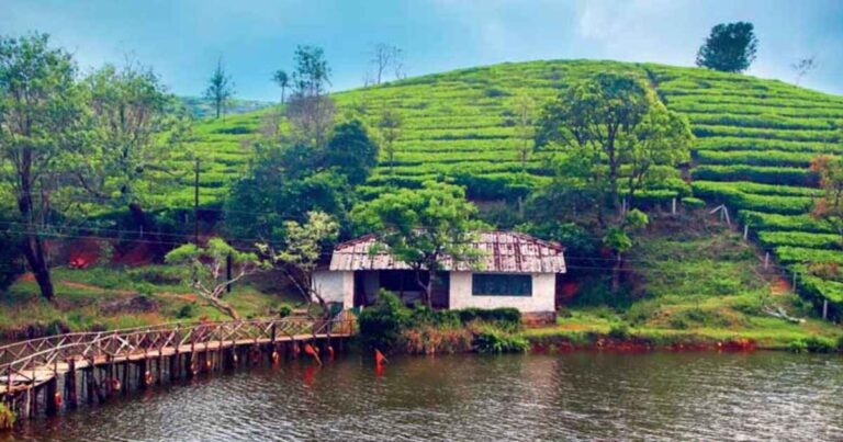 kerala vagamon